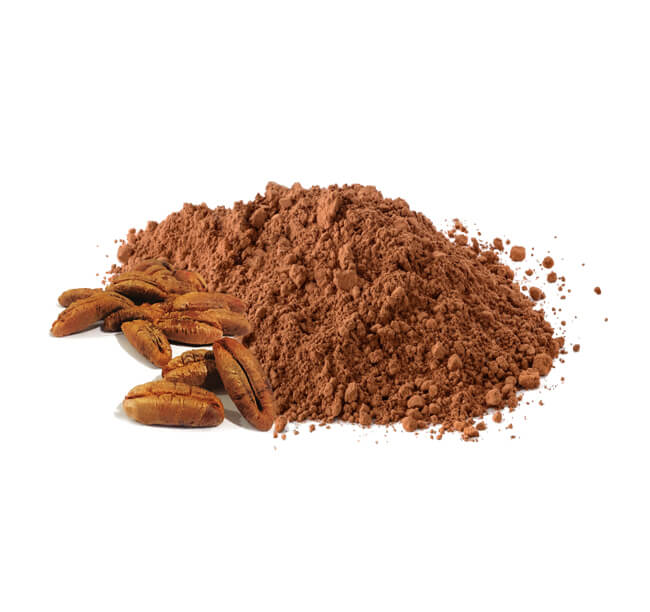 Antioxidant Properties and Health Benefits of Date Seeds Date Seed Powder